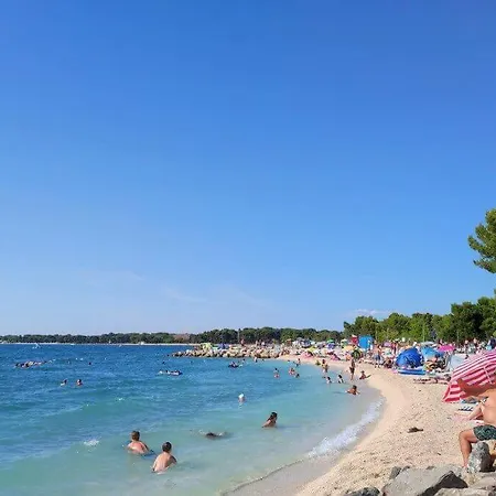 App Krivit 아파트